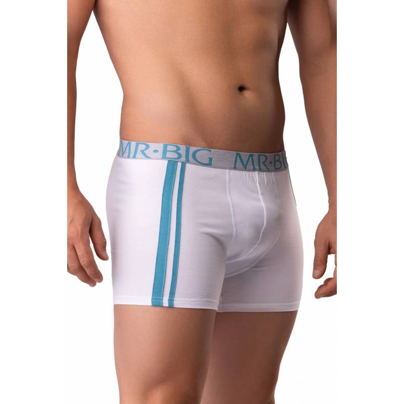 Boxer barbati Mr.Big 