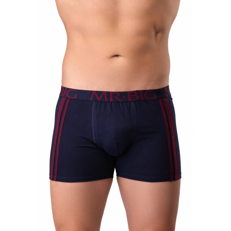 Boxer barbati Mr.Big 