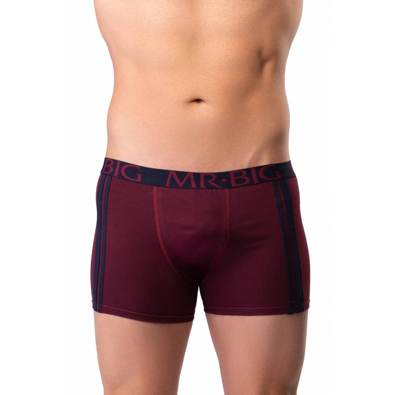 Boxer barbati Mr.Big 