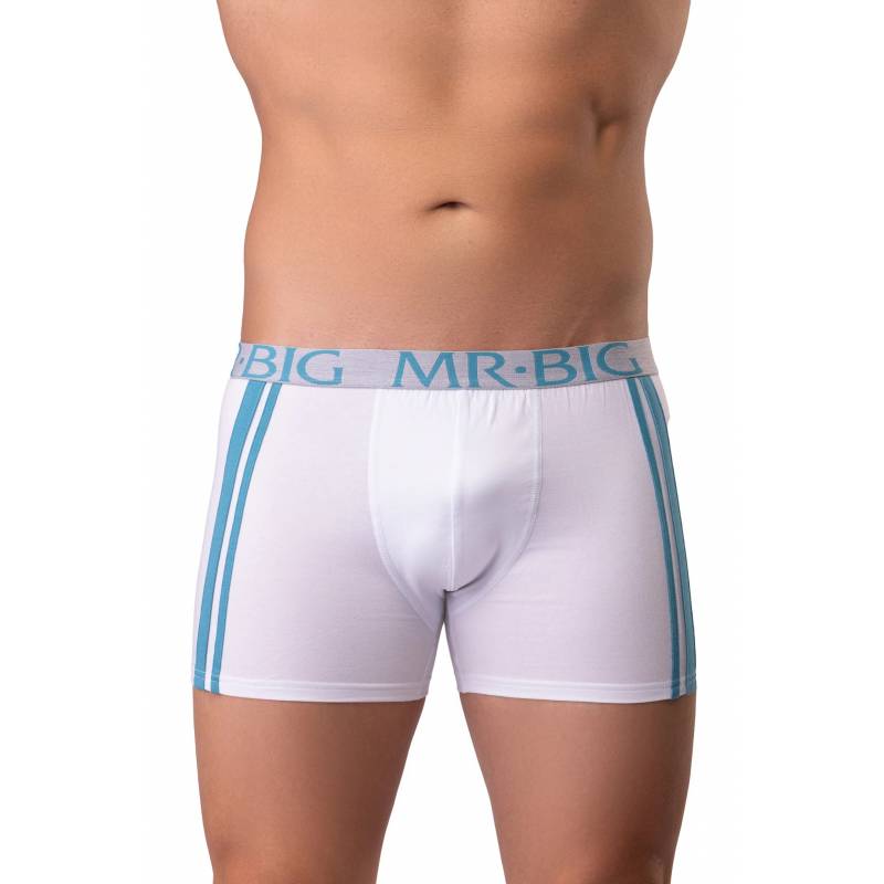 Boxer barbati Mr.Big 