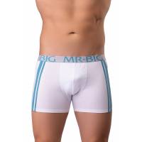 Boxer barbati Mr.Big 