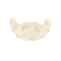 Plasturi sani