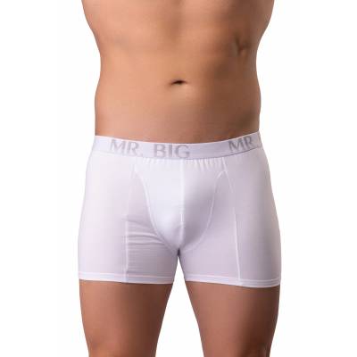 Boxeri barbati Mr.Big 201